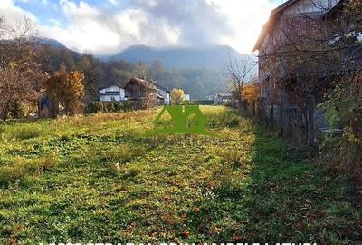 Teren intravilan Calimanesti-Seaca cu acces la DN latime 19ml - 4