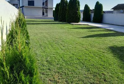 Casă în Brâncoveni - 10