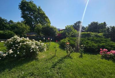 Vanzare -Vilă spațioasă cu aer de vacanță – Puchenii Mari-Moara/langa PLOIESTI - 8
