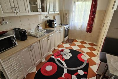 Apartament cu 2 camere semidecomandat în Micălaca - 1