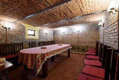 Resedinta cu:foisor,2 garaje, crama tip restaurant+garsoniera lux ... - 47