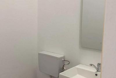 Spatiu comercial de inchiriat - 4