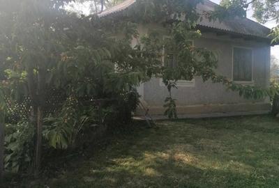 Casă individuală cu 3 camere cu Teren 1800 Mp în Brăești - 5