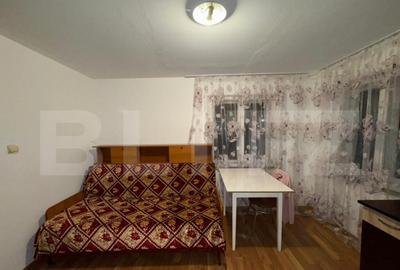 Casa cu 4 camere, 117 mp, teren generos de 5594 mp, in Crisc - 10