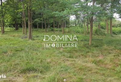 Spațiu comercial, în Polovragi - 1