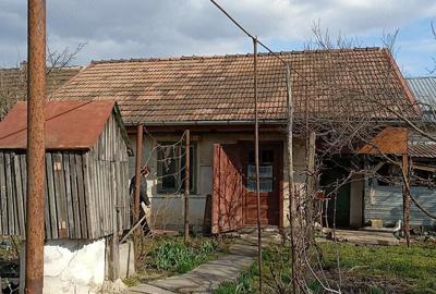 Casă cu Teren 1350 Mp în Valea Lungă - 4