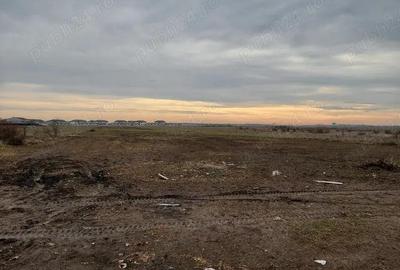 Vanzare Teren Intravilan Magurele 10000mp - 1