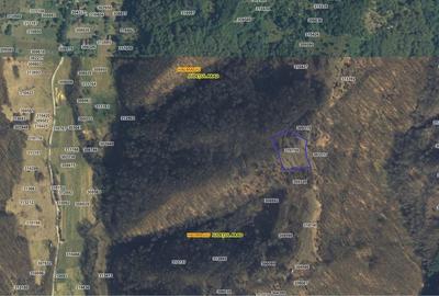 Spațiu comercial, în Brusturi - 4