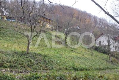 Cabana de vanzare in Ciuleni-Toplita langa lacul Cincis - 2