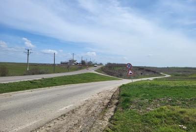 Teren agricol extravilan de 40000 mp, în Prundu - 1