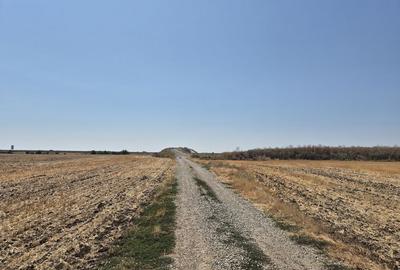 Teren de 4428 mp, în Balotești - 4