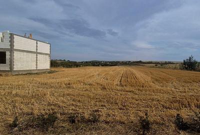 Teren de 3400 mp, în Balș - 4