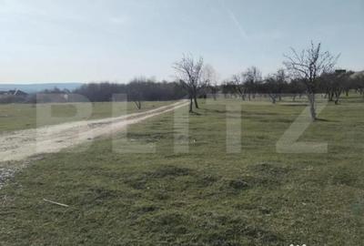 Teren de 90000 mp, în Central - 2