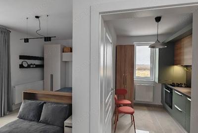 Garsonieră decomandată în Calea Urseni - 10