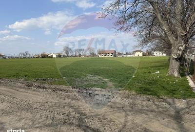 Spațiu comercial, în Armeni - 14