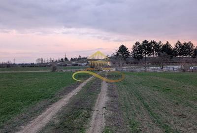 Teren agricol intravilan de 7774 mp, în Lilieci - 6