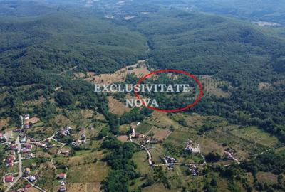 Oaza de natura si oportunitate in Baiculesti  Valea lui Enache, Arges - 7