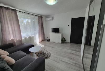 Apartament cu 2 camere semidecomandat în Tudor Vladimirescu - 10