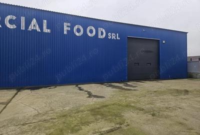 Spațiu comercial, de 800 mp, în Cărpiniș - 2