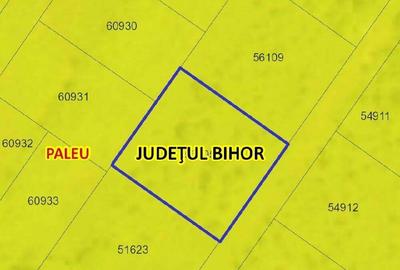Teren de 1000 mp, în Săldăbagiu de Munte - 5