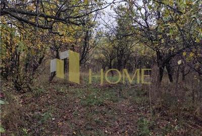 Sau Schimb teren central Drajna 5000 mp - 3