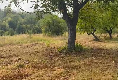 Teren de vanzare zona de munte - 5