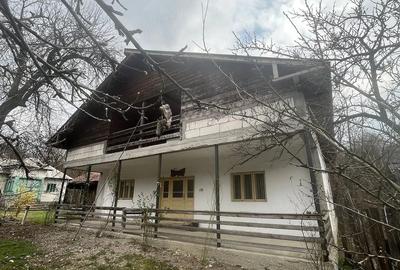 Casă cu 4 camere cu Teren 5000 Mp în Roești - 5