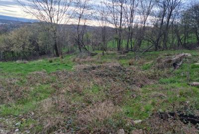 Teren Intravilan | Constructii | 734 mp | Baia Mare | Strada Miron Costin - 8