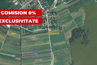 Teren 10 000 mp in Bradu Sibiu, acces facil aproape de Olt