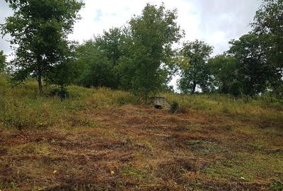 Parava, sat Dragusani, teren 4800mp, la asfalt - 6