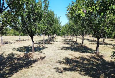Spațiu comercial, în Central - 8