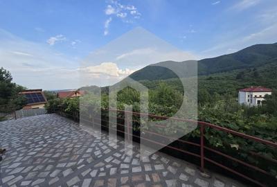 Casa individuala 4 camere teren 3825 mp Cisnadioara - 26