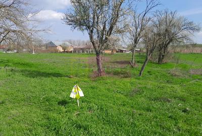 Teren Construcții intravilan de 3400 mp, în Buturugeni - 35