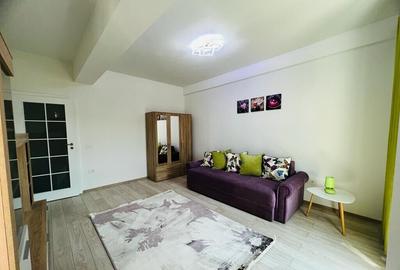 APARTAMENT CU PRELUARE CHIRIASI, 1 CAMERA DECOMANDAT, - 6