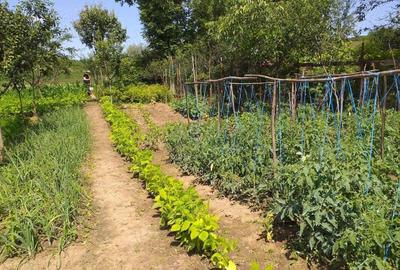 Casă cu 3 camere în Gălești - 2