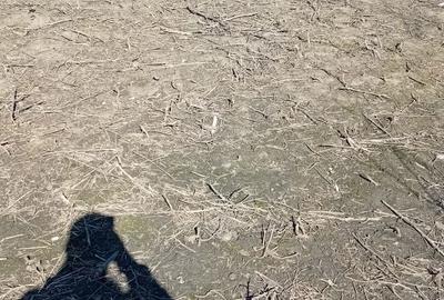 Spațiu comercial, în Independența - 2