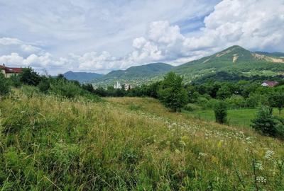 Teren de vanzare in Baia Sprie: 52 Ari, Parcelabil, Comision 0% - 2