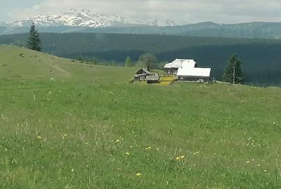Teren de 45000 mp, în Ortoaia - 7