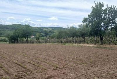 Teren de 500 mp, în Hidiș - 4