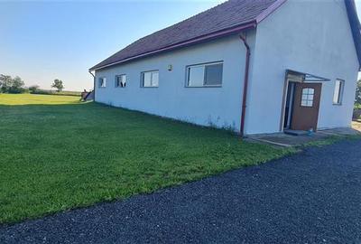 Spațiu industrial, de 440 mp, în Livada - 3