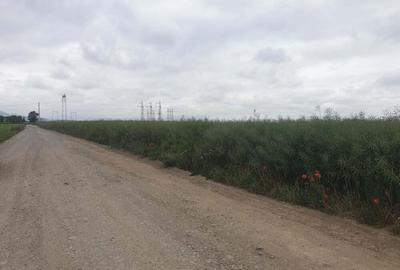 Harman teren agricol cu potential de introducere in intravilan. Harman teren agricol cu potential de introducere in intravilan. - 3