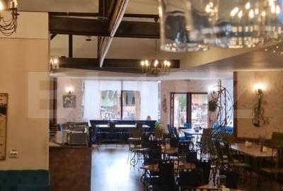 Restaurant de vanzare, 688 mp, zona Parcului Chindia - 9