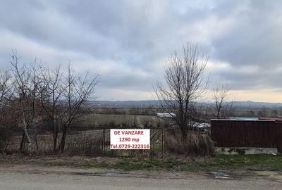 Spațiu comercial, în Coltău - 5