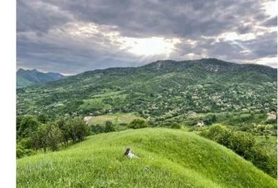 Teren de 5000 mp, în Brăești - 12