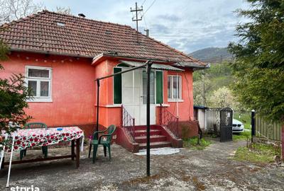 Casă cu 2 camere cu Teren 4368 Mp în Certeju de Sus - 3