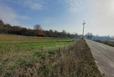 Vanzare teren intravilan - 1654 mp - strada Amurgului - Ursa?i - 2