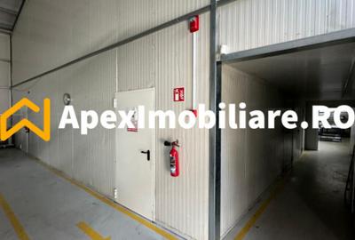 Spațiu comercial, de 550 mp, în Vest - 18