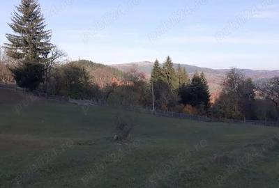 Teren de 13700 mp, în Nereju - 5