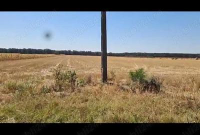 Teren de 7600 mp, în Cârligei - 2