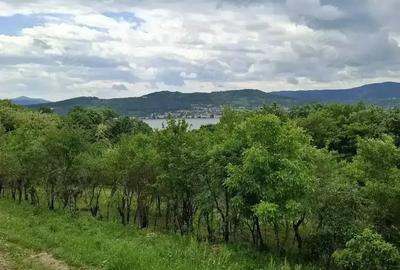 Casă cu 4 camere în Orșova - 3